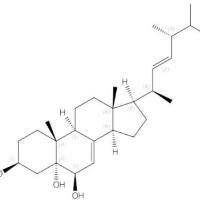 啤酒甾醇516-37-0