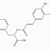 迷迭香素537-15-5