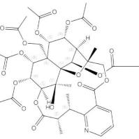 乌木叶碱 E-II133740-16-6