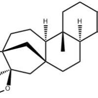 16-O-甲基咖啡醇108214-28-4
