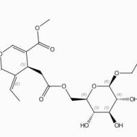 新女贞苷96382-91-1