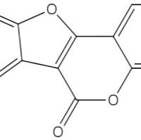 香豆雌酚479-13-0