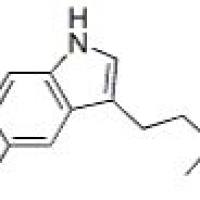 华蟾蜍色胺60657-23-0