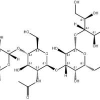 乳-N-新四糖13007-32-4