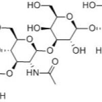 乳糖-N-四糖14116-68-8