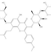 朝藿定B1133137-58-3