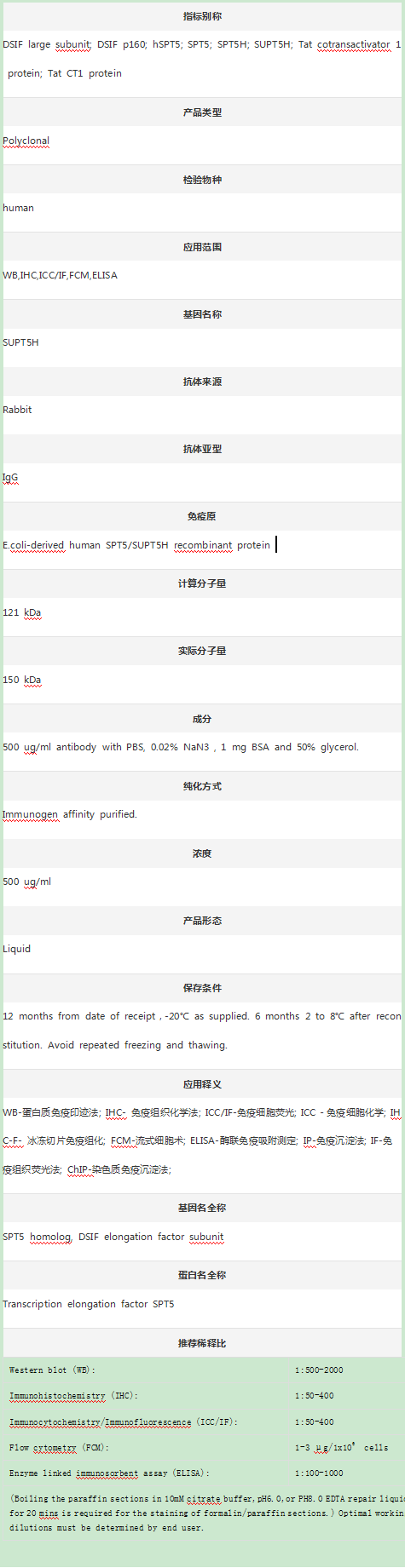 Anti-SUPT5H Antibody