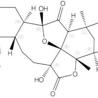 酸浆苦味C27503-33-9