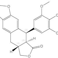4'-去甲去氧鬼臼毒素3590-93-0