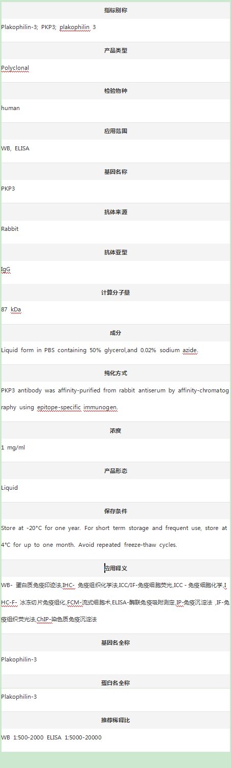 Anti-Plakophilin-3/PKP3 Antibo