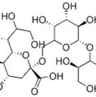 6'-唾液乳糖钠盐35890-39-2