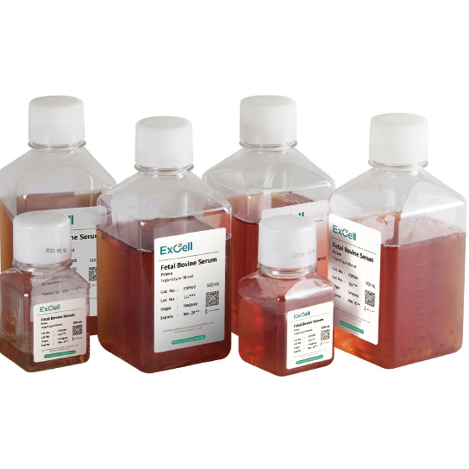 Fetal Bovine serum（prime）胎牛血清