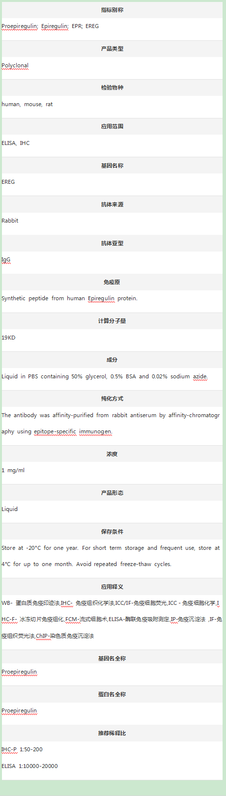 Anti-Epiregulin/EREG Antibody