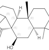 王枣子甲素84294-86-0