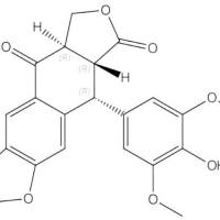 甜叶苷R195645-51-5
