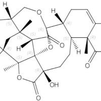 酸浆苦味B23133-56-4