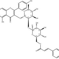 山柰酚-3-O-对香豆酰基鼠李糖葡萄糖苷111957-48-3