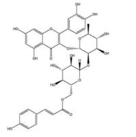 3-O-{2-O-[6-O-(p羟基-反-香豆酰)-葡萄糖基]-鼠李糖基}槲皮素143061-65-8