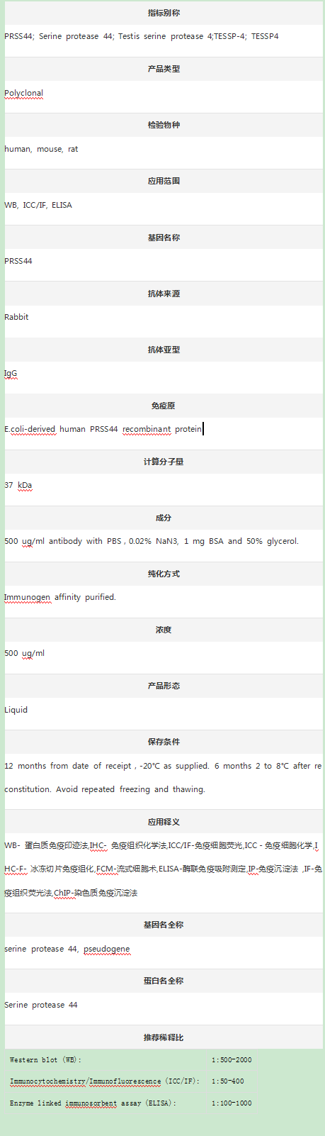 Anti-PRSS44 Antibody