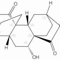 15-氧代绣线菊内酯1053172-87-4