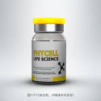 重组人转化生长因子-β（Human TGF-β1）