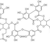 仙鹤草素82203-01-8
