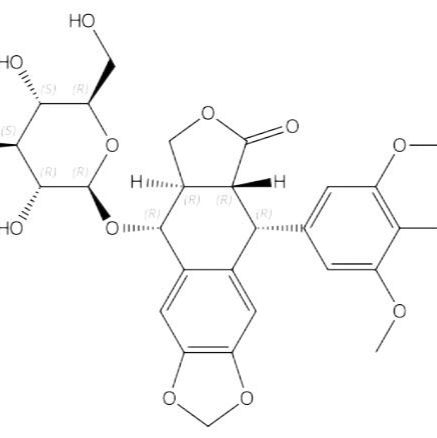 鬼臼毒素-4-O-葡萄糖苷16481-54-2
