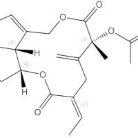 菊三七碱乙90341-45-0
