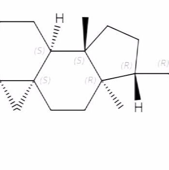 环桉烯醇469-39-6