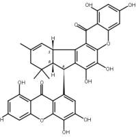 Griffipavixanthone219649-95-3