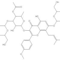 朝藿苷E174286-23-8