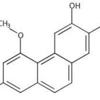 山药素I51415-00-0