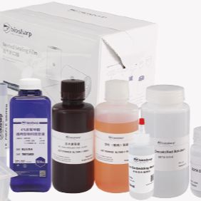 BL159A 磷酸钙法细胞转染试剂盒