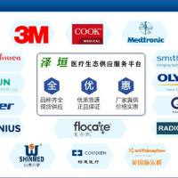 泰尔茂 一次性使用延长导管 SF*ET3520L22 圆锥锁定接头 