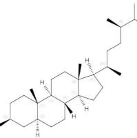 油菜甾醇474-60-2