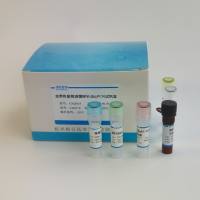 隐孢子虫探针法荧光定量PCR试剂盒