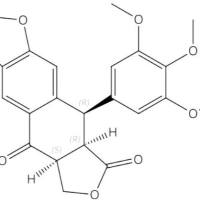 异苦鬼臼酮55515-07-6