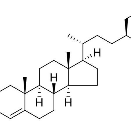 豆甾-4-烯-3-酮1058-61-3