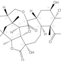 酸浆苦味H70241-09-7