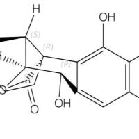 表迷迭香酚93380-12-2
