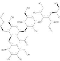 乳糖-N-二岩藻六糖 II62258-12-2