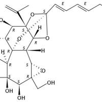 芫花酯甲60195-70-2