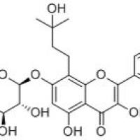 茂藿苷 A128988-55-6