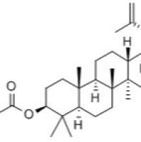 贝韦立马174022-42-5