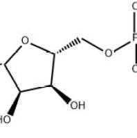 三磷酸腺苷56-65-5