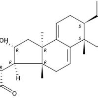 茯苓新酸AM151200-92-9