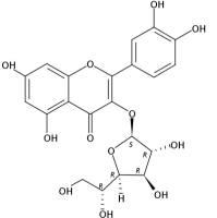 槲皮素-3-O-葡萄糖苷21637-25-2