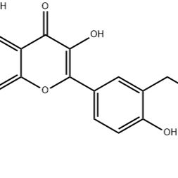 楮树黄酮醇F162558-94-3