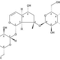 地黄苷C81720-07-2