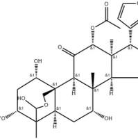 异川楝素97871-44-8